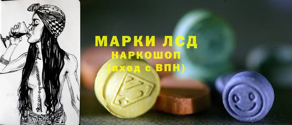 гашик Белокуриха