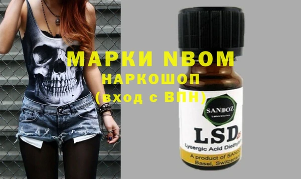 гашик Белокуриха