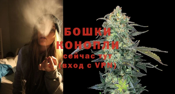 гашик Белокуриха
