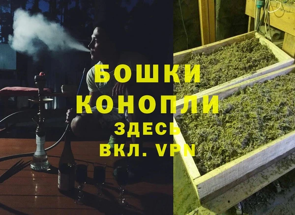 гашик Белокуриха